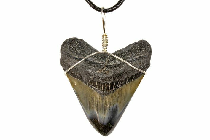 Fossil Megalodon Tooth Necklace #130931